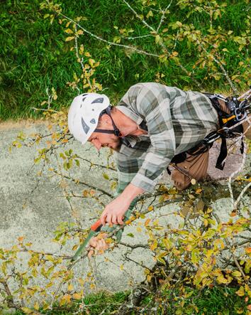 Gartenunterhalt & Baumpflege