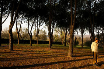 im Baumschatten