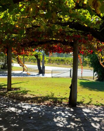 Gestaltung & Landshaping